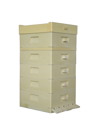 MIODOLAND polaco colmenas de abeja reina depositando miel Polonia 01