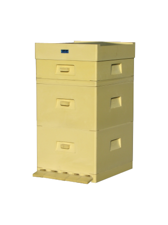 MIODOLAND polaco colmenas de abeja reina depositando miel Polonia 02