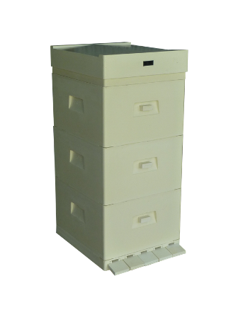 MIODOLAND polaco colmenas de abeja reina depositando miel Polonia 03