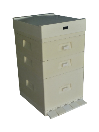 MIODOLAND polaco colmenas de abeja reina depositando miel Polonia 04